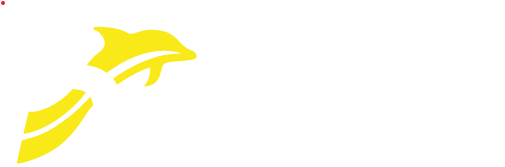 Cajas de Cambio Delfincar